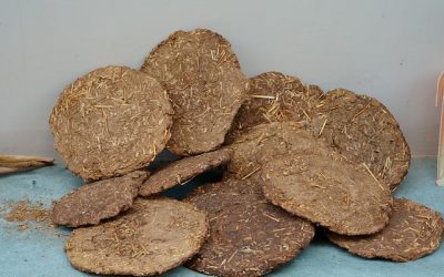 Cow Dung Cake Triangle ocean exim